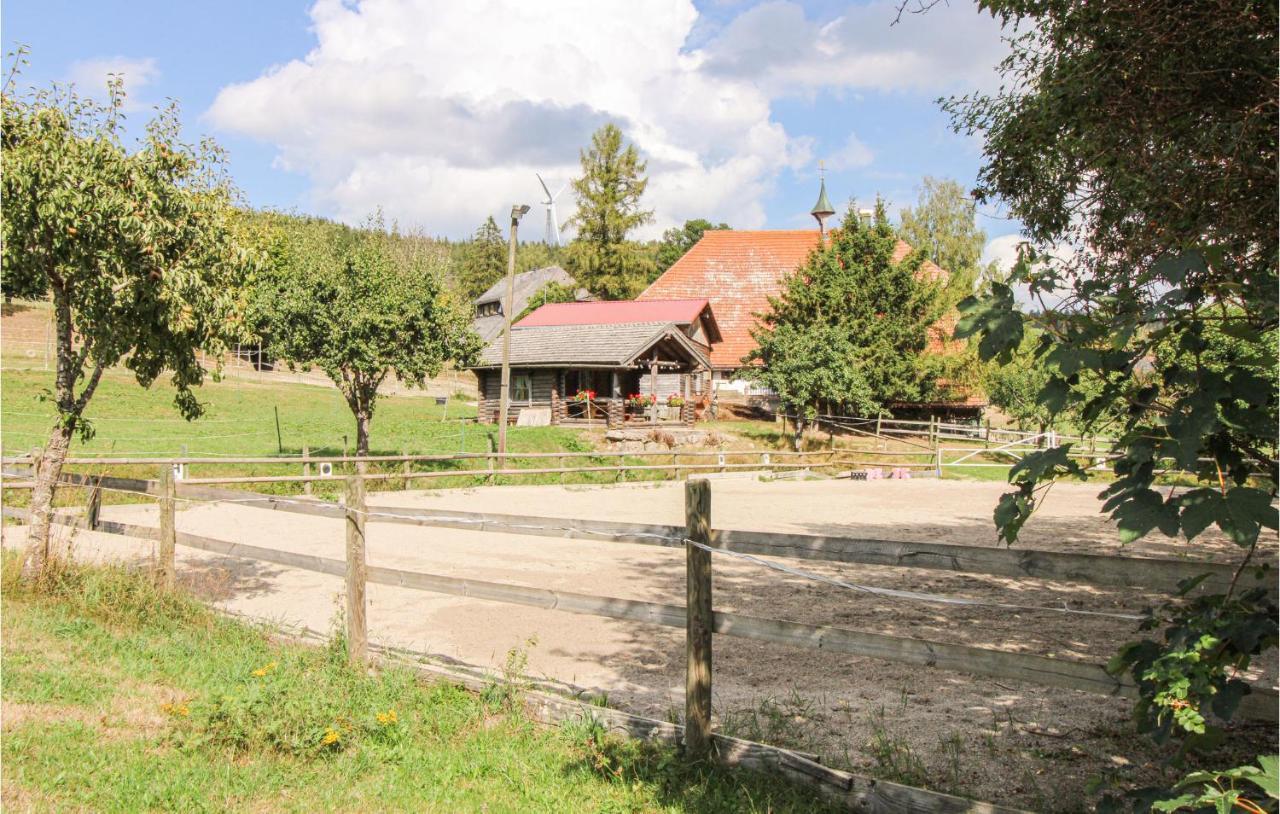 Chalet Bestaenderhof Schonach im Schwarzwald Εξωτερικό φωτογραφία
